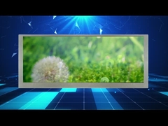 10.3 inch 1280*480 Resolutions Widescreen Lcd Display For Car monitor