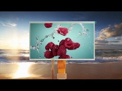 All Viewing Angle 10.1 inch Resistive Touch Lcd Modules